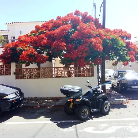 Gioly Apartment Puerto del Rosario (Fuerteventura)